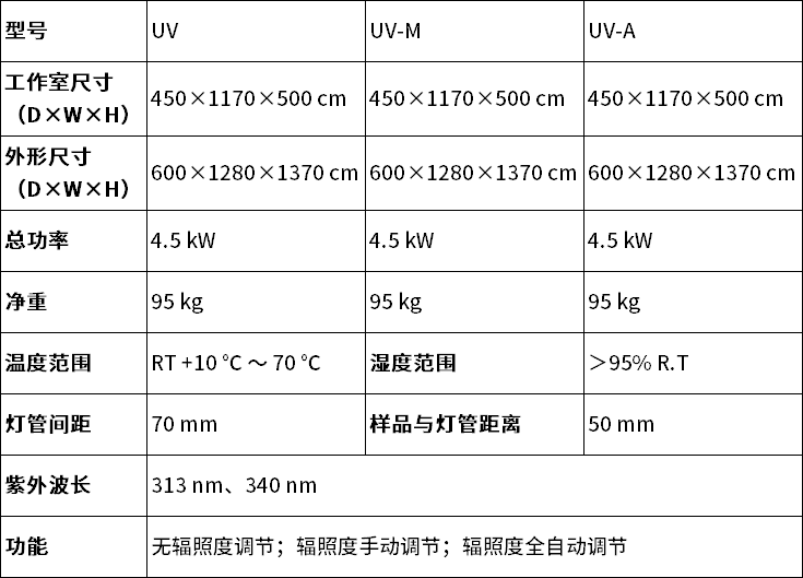 中文